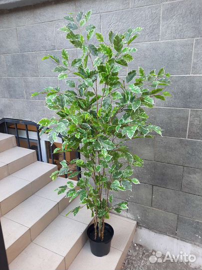 Искусственное дерево фикус