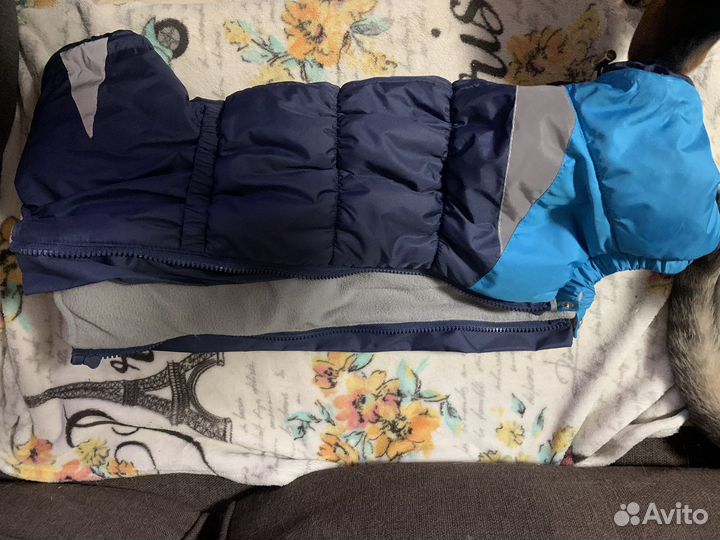 Комбинезон для собаки такса