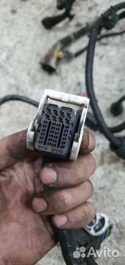 Моторная проводка Peugeot Boxer