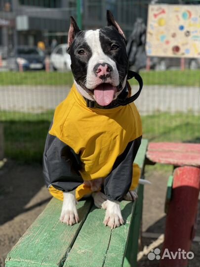 Фотосессия