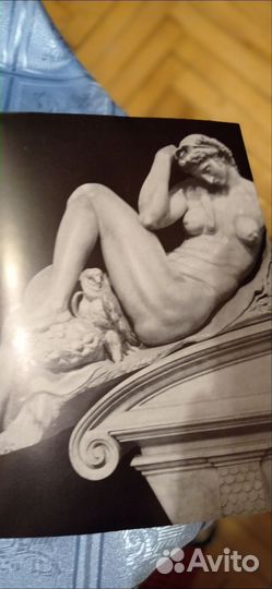 Микеланджело Буанорроти. Альбом