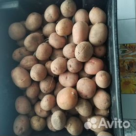 РЕМОНТ, ИЗГОТОВЛЕНИЕ КОНВЕЙЕРНЫХ ЛЕНТ (для сортировки картофеля)