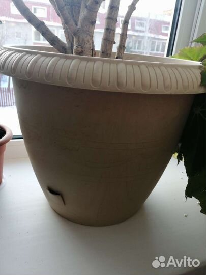 Вазон и большой горшок