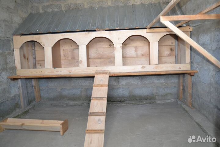 Поилки, кормушки и гнёзда для кур