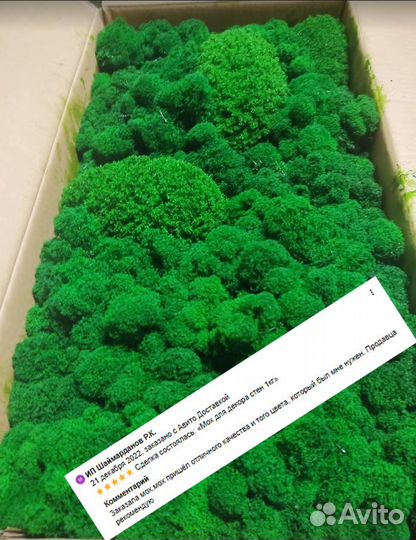 Стабилизированный мох от производителя оптом ягель