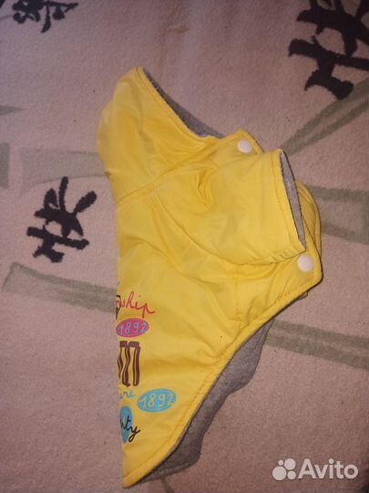 Продам курточку на маленькую собачку