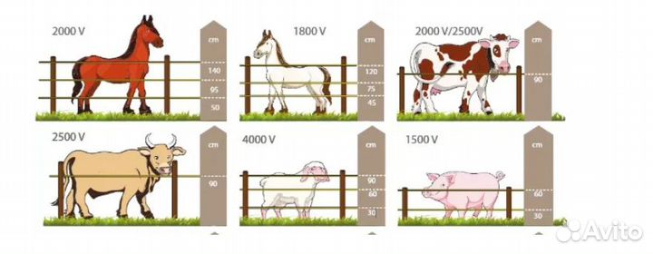 Электропастух для коров, быков, овец
