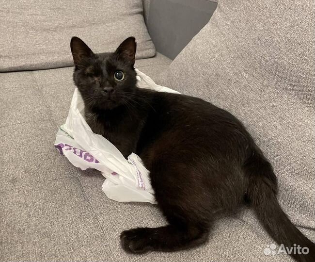 Шанс для инвалида