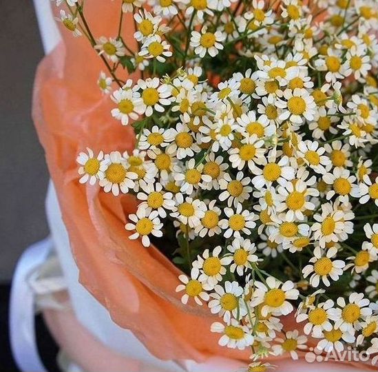 Букеты. Доставка ромашек