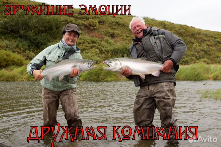 Рыбалка семга кольский