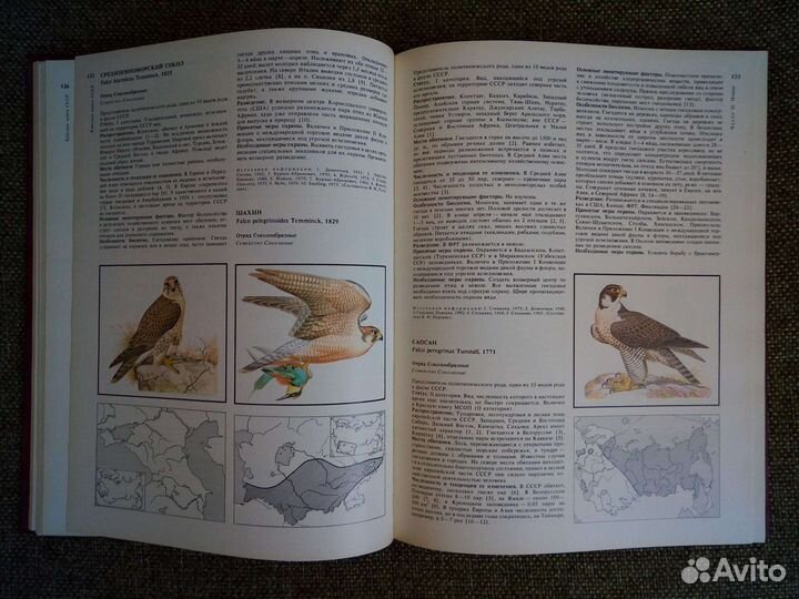 Красная книга СССР 2 Тома