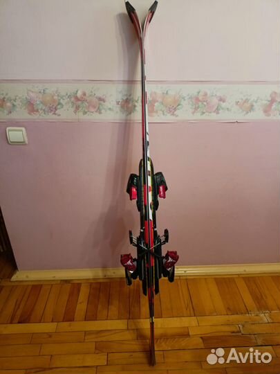 Горные лыжи