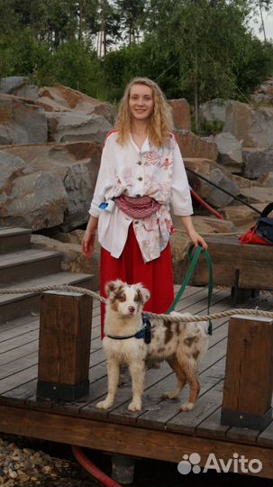 Julius-K9 шлейка для собак Синий Mini 7-15кг