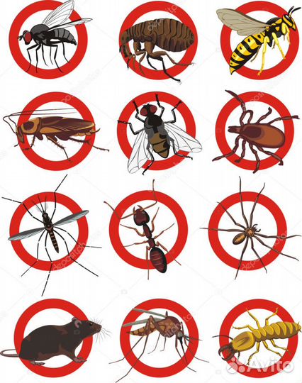 Обработка от грызунов, насекомых