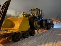 Общество с ограниченной ответственностью дорожное строительство красный чикой