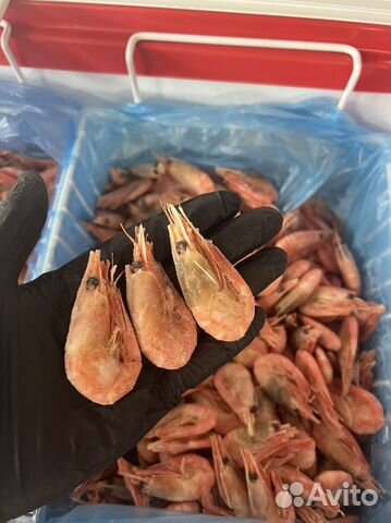 Креветки северные 90/120