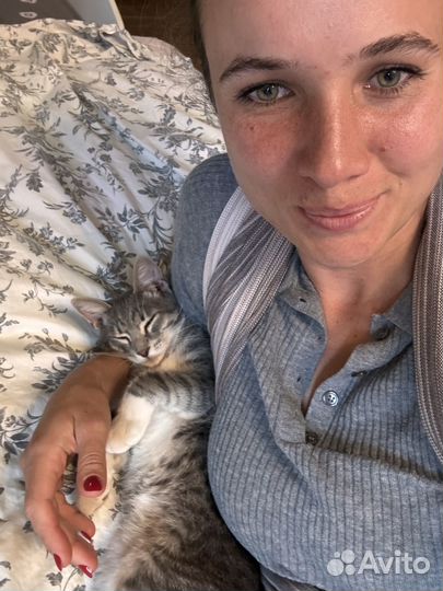 Котенок в добрые руки