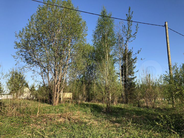 Участок 10 сот. (СНТ, ДНП)