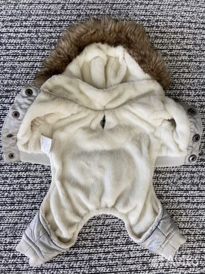 Одежда для маленьких собак xs