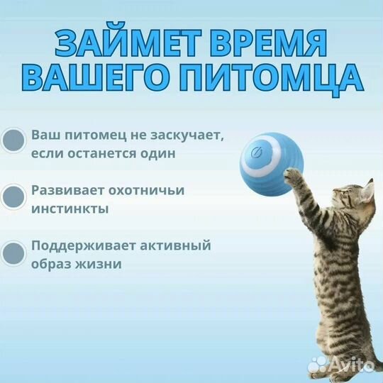 Мяч для кошек и собак