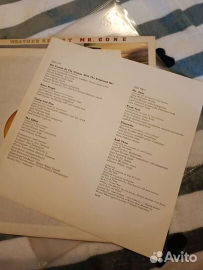 Weather Report – Mr. Gone