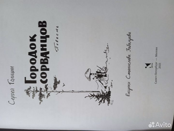 Сергей Голицын Городок сорванцов