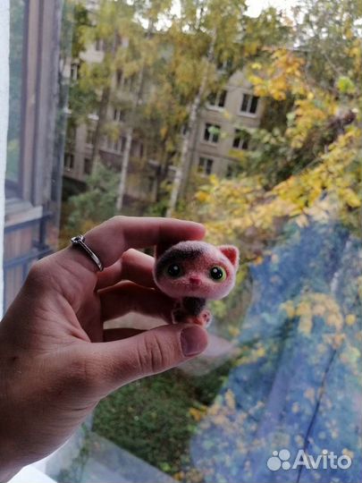 Кошечка Sweet Box