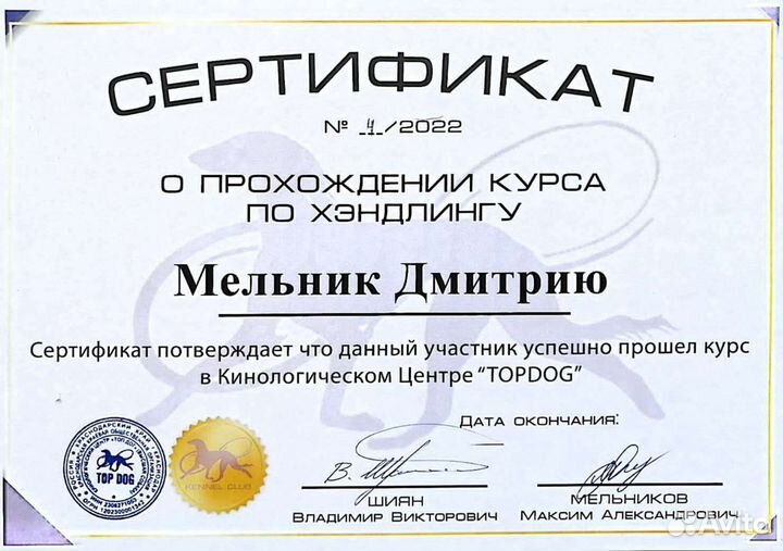 Услуги хендлера