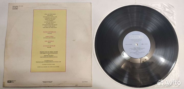 Виниловые пластинки