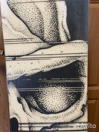 Сноуборд dc ply 21/22 159