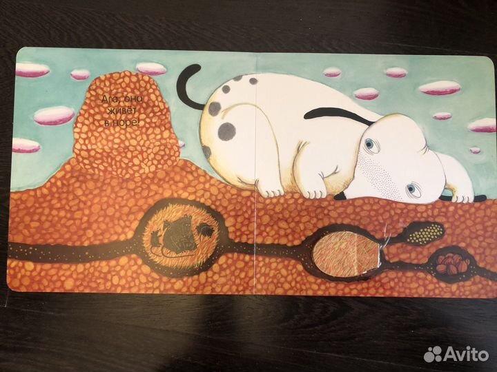 Где живет птичка