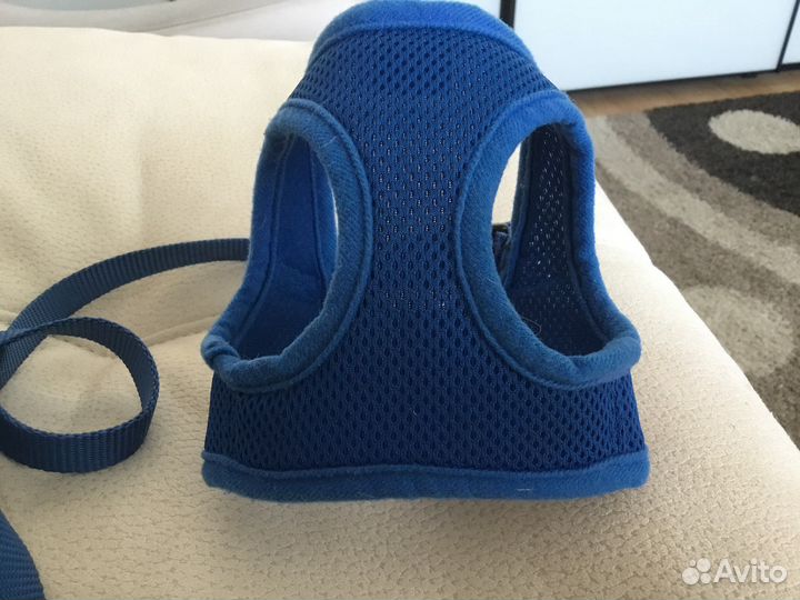 Шлейка для маленькоц собачки