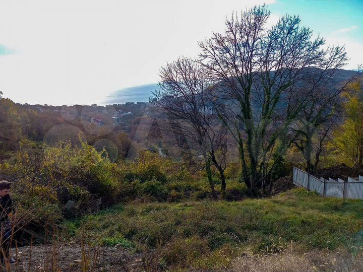 Участок 6,5 сот. (СНТ, ДНП)