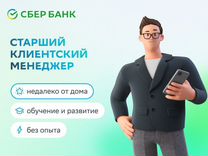 Старший менеджер по работе с клиентами