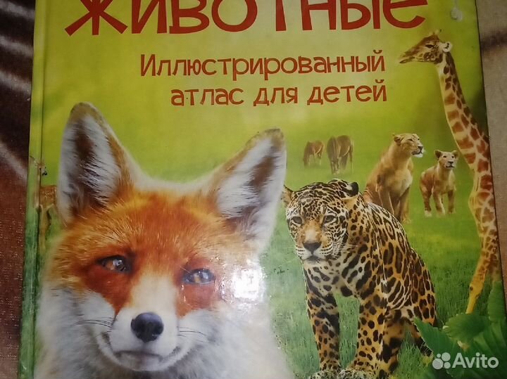 Иллюстрированный атлас д/детей(0+).Изд-е д/досуга