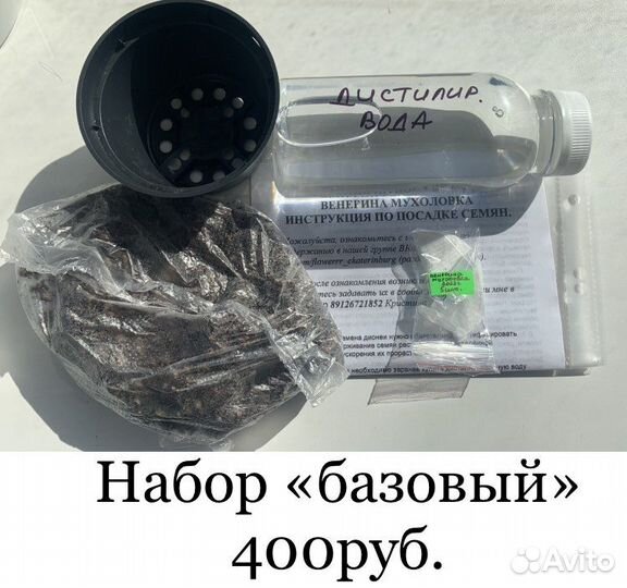 Мухоловка. Набор для выращивания из семян