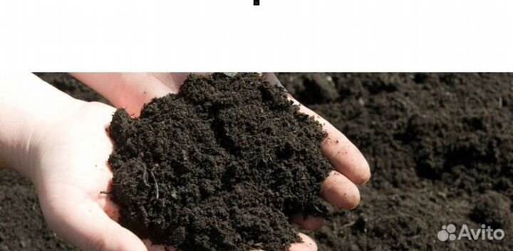 Плодородная земля полевая колхозная