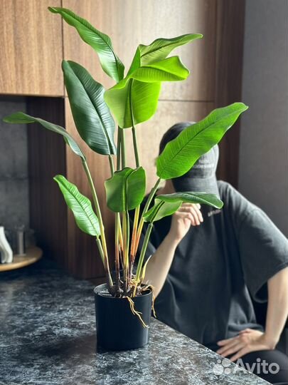 Банановая пальма искусственная