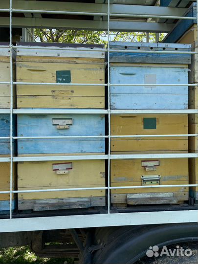 Улья многокорпусные