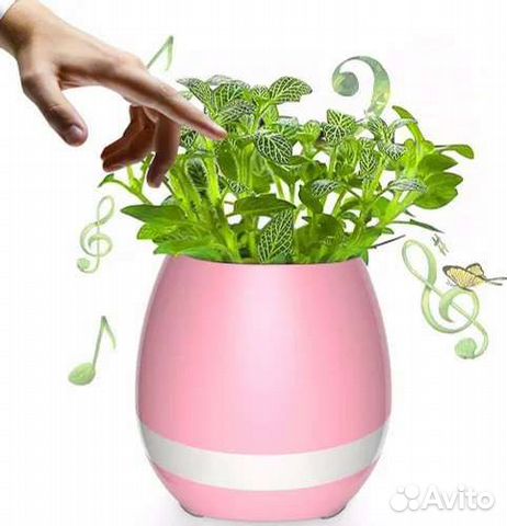Умный музыкальный горшок. Беспроводная колонка