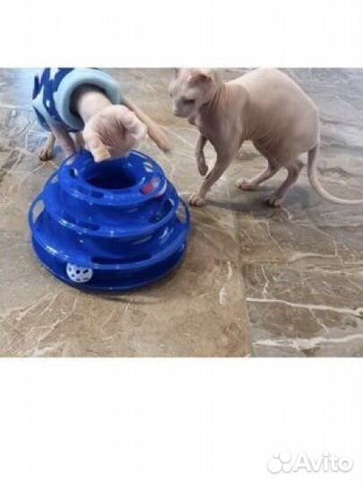 Игрушки для кошек