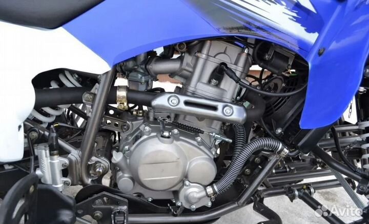 Квадроцикл Motoland ATV 250 S синий