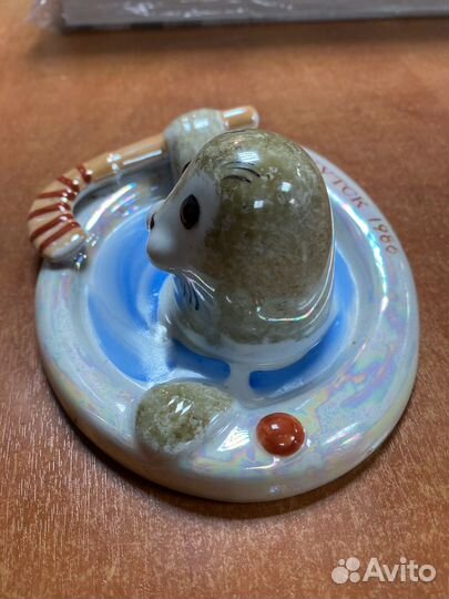 Нерпа хоккей с мячом хайта