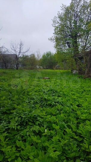 Участок 30 сот. (ИЖС)