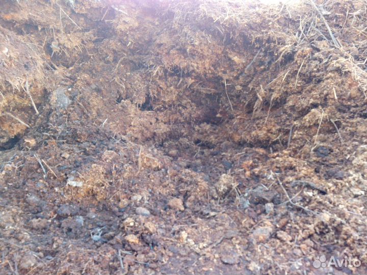 Конский навоз