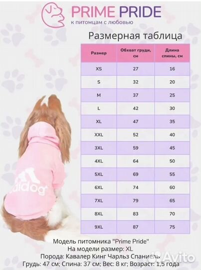 Костюм худи для собак и кошек, одежда для животных