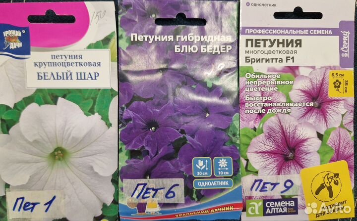 Петуния рассада