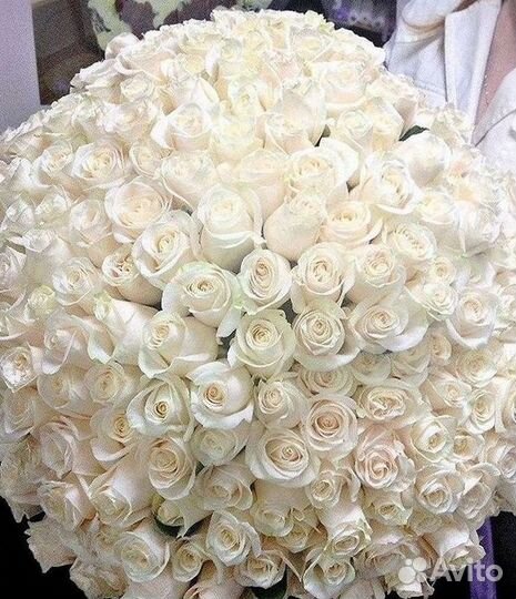 Розы высокие Доставка цветов