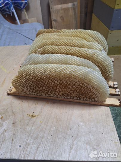 Альпийский улей