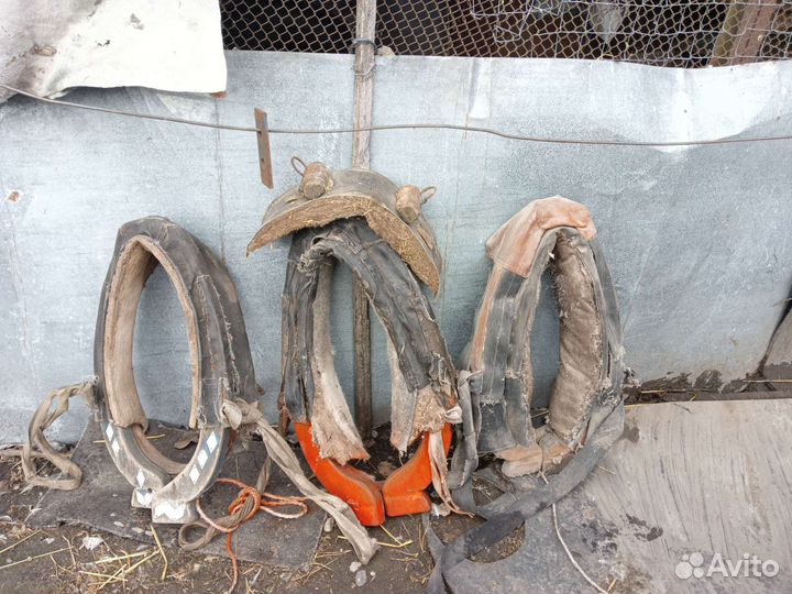 Сани для лошади и хомуты